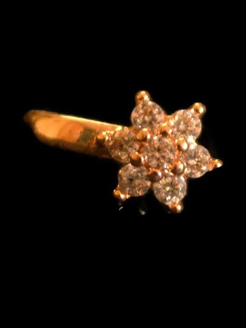 SHREEVARAM Gold-Plated Brass Nose Ring