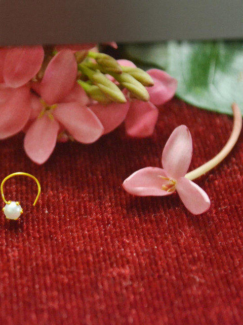 SHREEVARAM Pack of 3 Gold-plated Silver Plated Brass Nose Ring