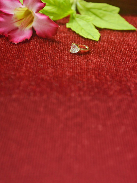 SHREEVARAM Cubic Zirconia Diamond Gold-Plated Brass Nose Ring