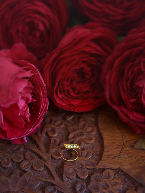 SHREEVARAM Cubic Zirconia Diamond Gold-Plated Brass Nose Ring - Image 3