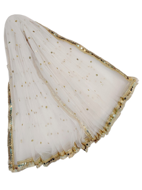 Navti Creations Embroidered Net Dupatta with Sequinned
