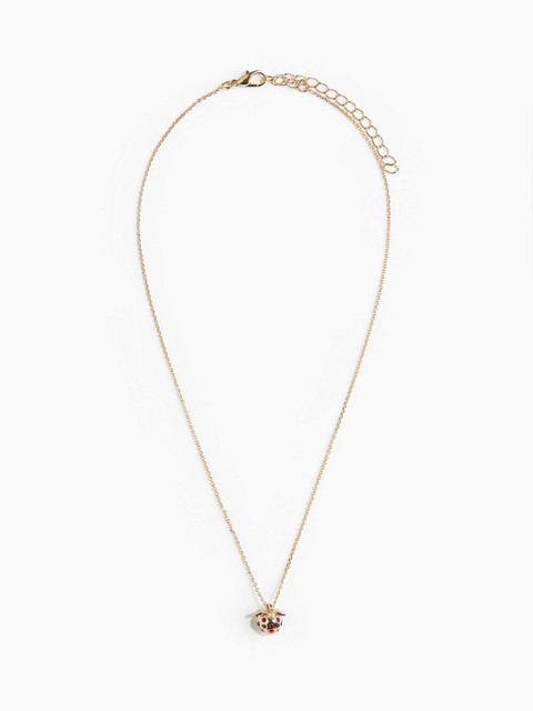H&M Plated Necklace and Chains