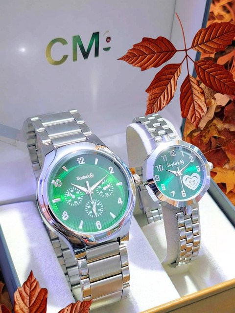 Skylark Unisex Dial & Stainless Steel Straps Analogue Multi Function Watch