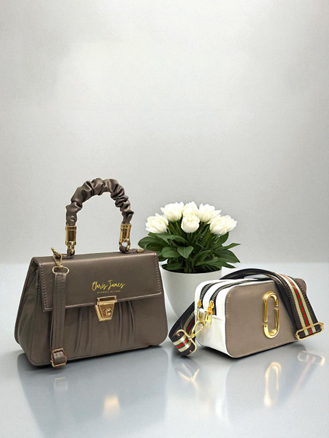 CLARIS JAMES Women Set of 2 Solid Structured Handheld Bag