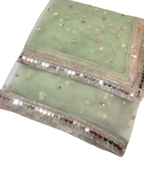 Navti Creations Embroidered Dupatta with Sequinned