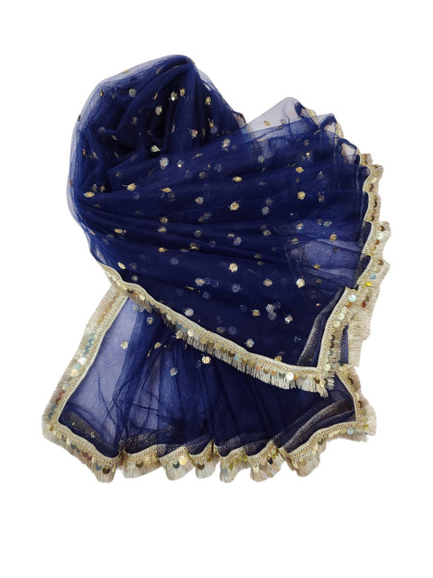 Navti Creations Embroidered Dupatta with Sequinned