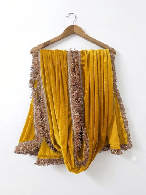 GLOBAL DRESS Velvet Dupatta with Sequinned