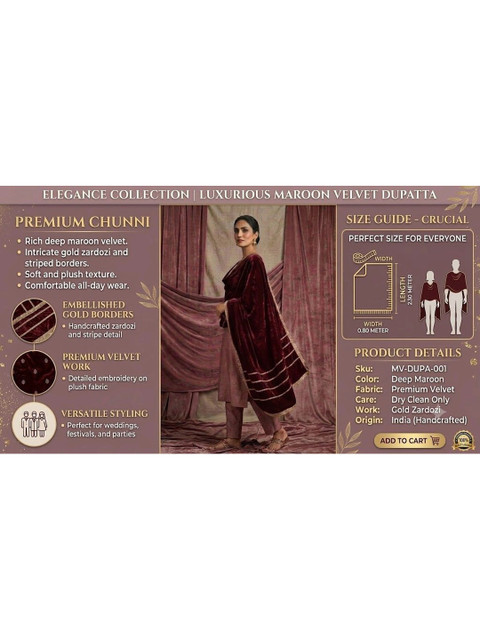 GLOBAL DRESS Velvet Blend Dupatta with Zari - Image 4