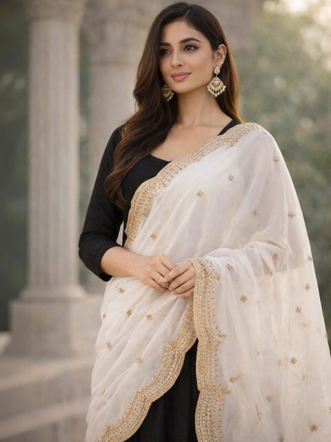 SAHINA DUPATTA Ethnic Motifs Embroidered Organza Blend Dupatta with Zari