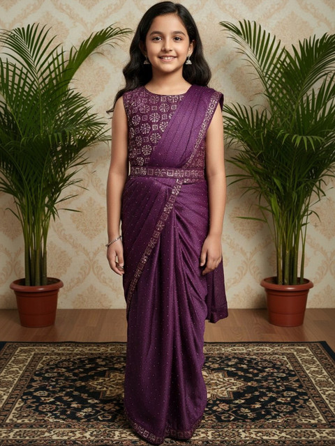 BAESD Sequinned Net Saree