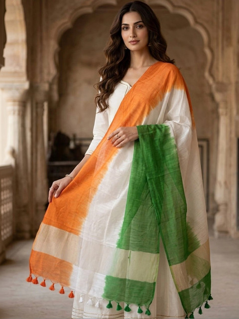 Dupatta Bazaar Colourblocked Dupatta - Image 2