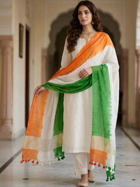 Dupatta Bazaar Colourblocked Dupatta