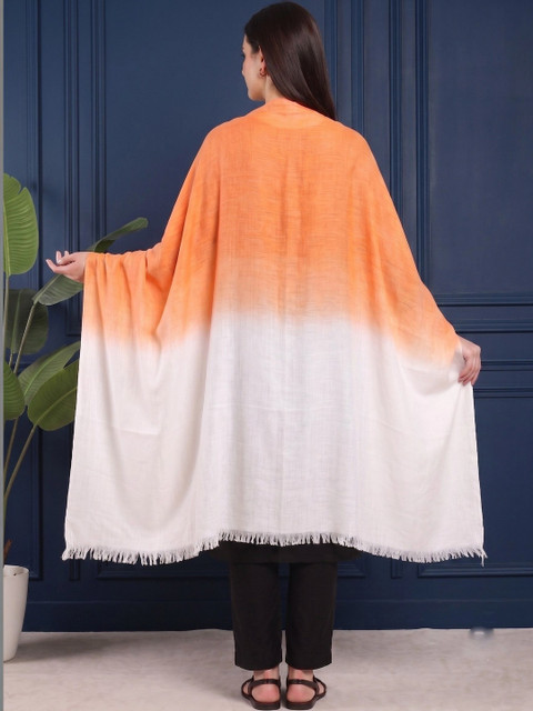 HANDICRAFT PALACE Colourblocked Viscose Rayon Ombre Dupatta - Image 3