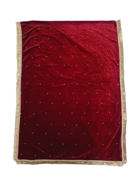GLOBAL DRESS Velvet Blend Dupatta with Sequinned - Image 4