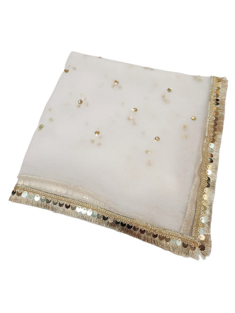 Navti Creations Embroidered Net Dupatta with Sequinned - Image 6