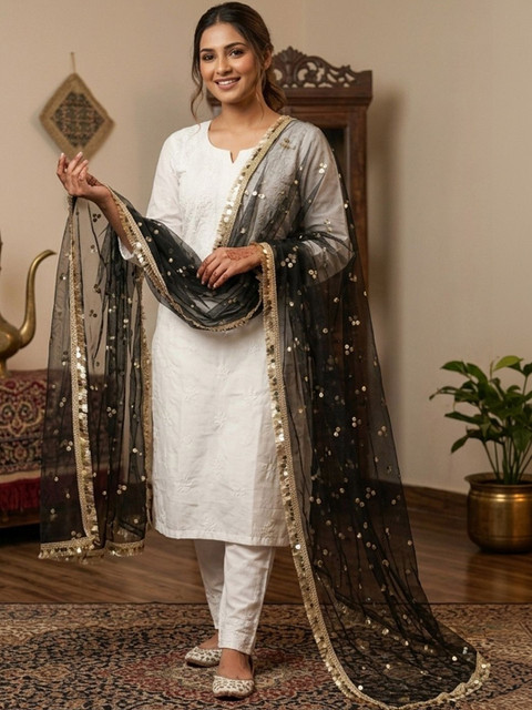 Navti Creations Women Net Embroidered Dupatta