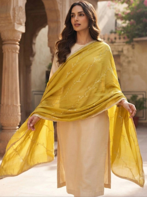 Dupatta Bazaar Dupatta with Sequinned - Image 2