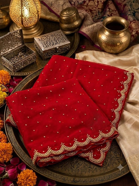 SAHINA DUPATTA Embroidered Dupatta with Beads and Stones