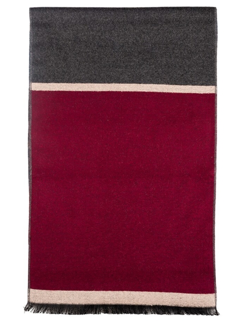 The Tie Hub Men Colourblocked Woolen Scarf With Frayed Border - Image 3