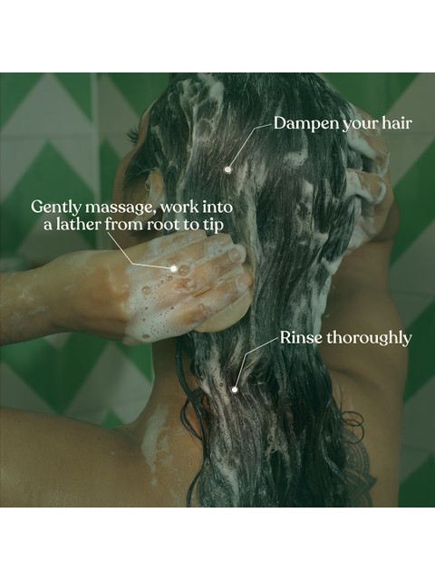 THE BODY SHOP Tea Tree Purifying & Balancing Vegan Shampoo with Silk Protein - 250 ml - Image 3
