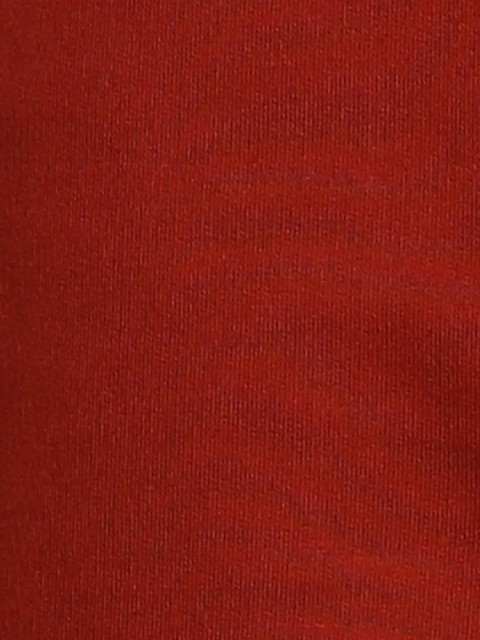 Alan Jones Men Mid-Rise Regular Shorts - Image 6