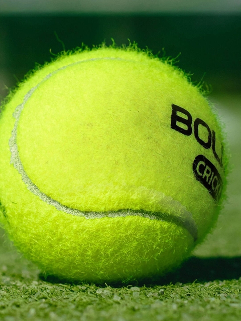 BOLDFIT Set Of 6 Tennis Balls