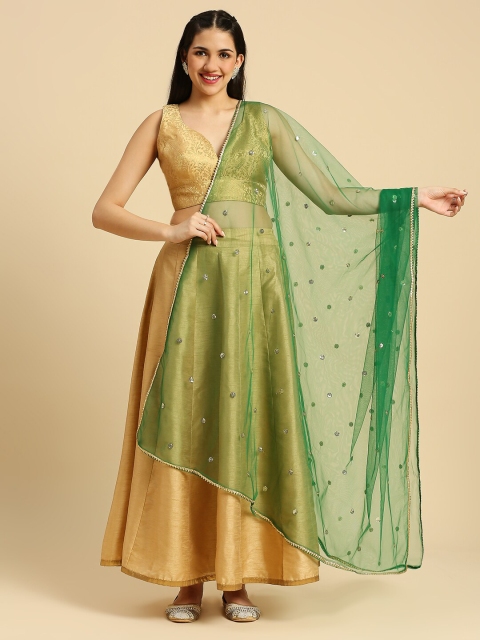Dupatta Bazaar Embellished Sequinned Net Dupatta
