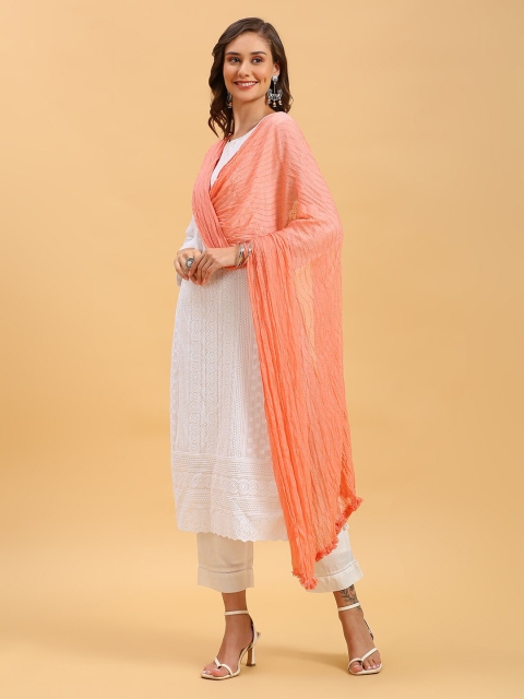 Dupatta Bazaar Embroidered Chiffon Dupatta - Image 3
