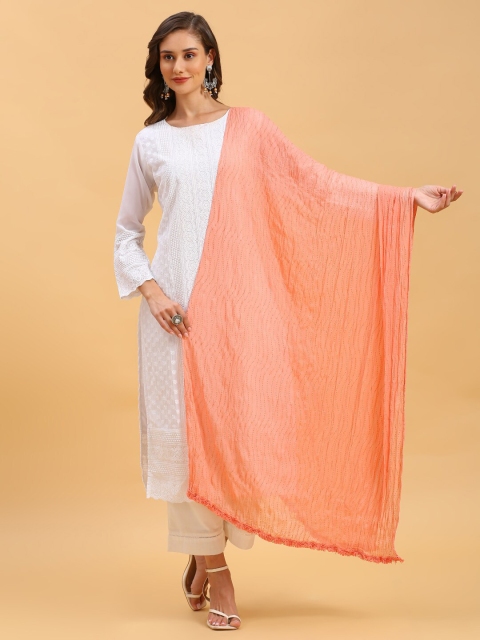 Dupatta Bazaar Embroidered Chiffon Dupatta