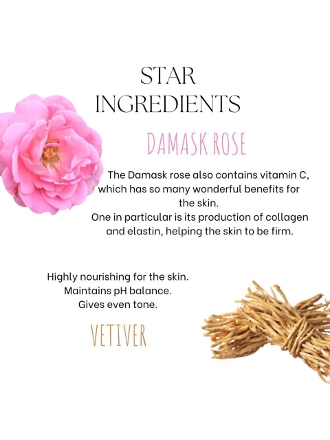 EcoBerry Damask Rose Vetiver Stick Deodorant - 100ml - Image 5