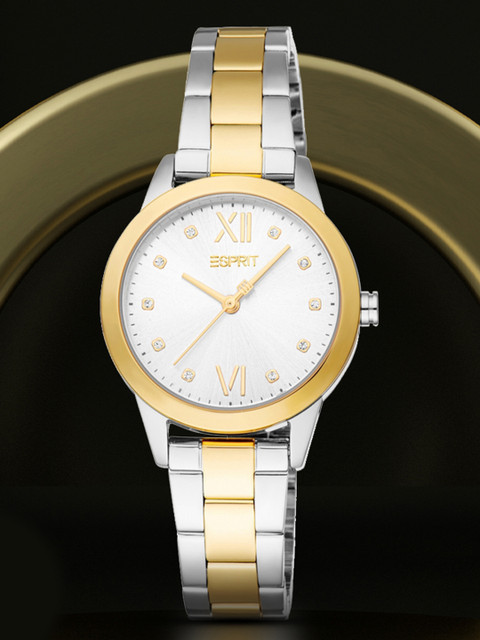 ESPRIT Women Dial & Stainless Steel Straps Analogue Watch ES1L434M0055