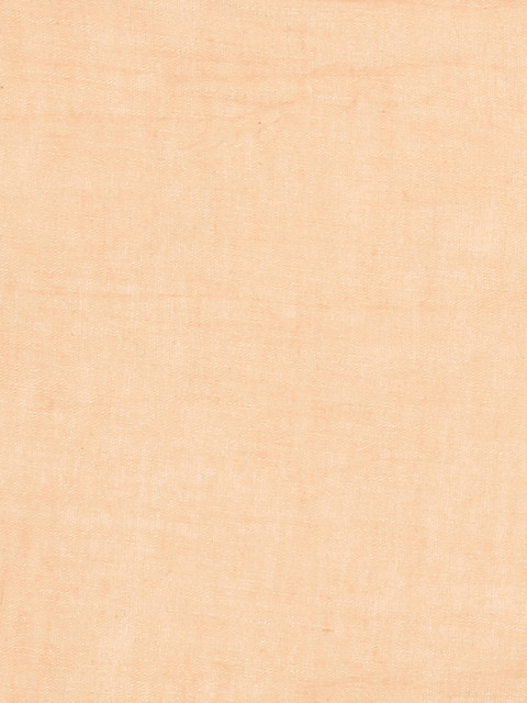 RANGMANCH BY PANTALOONS Beige Solid Pure Cotton Dupatta - Image 3