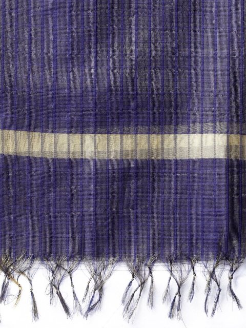 Vishudh Women Navy Blue Checked Dupatta - Image 3