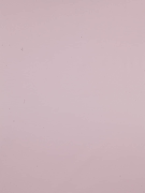 LONDON CROSS Men Pink Solid Shirt Clothing Fabric - Image 3