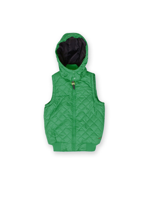 

U.S. Polo Assn. Kids Boys Green Solid Quilted Jacket