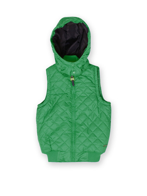 

U.S. Polo Assn. Kids Boys Green Solid Quilted Jacket