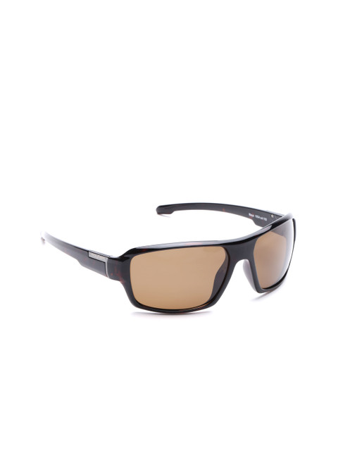 

Mayhem Unisex Sunglasses MAYS-1054-102, Brown