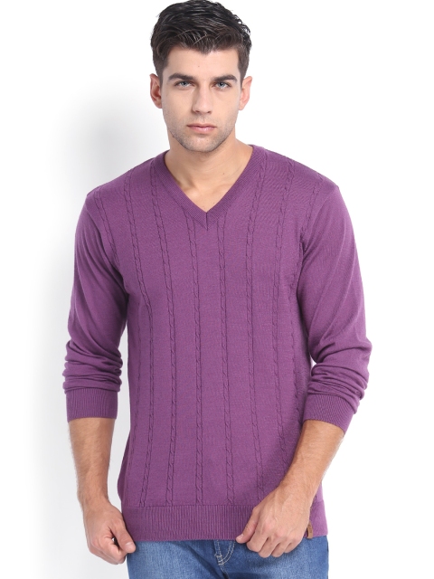 

Peter England Men Purple Woollen Sweater