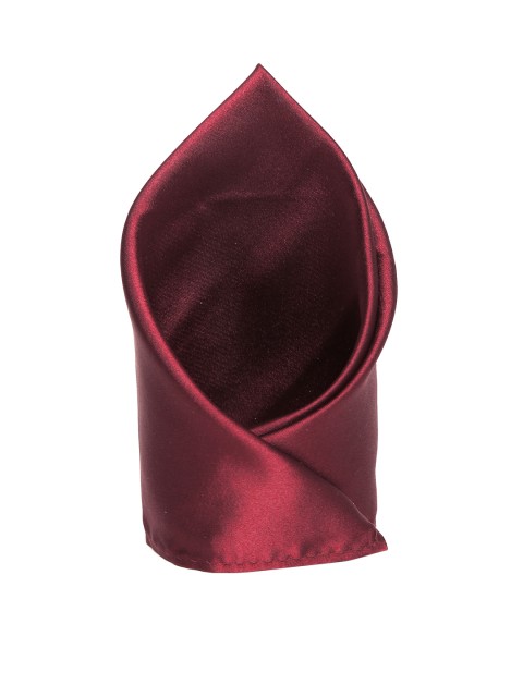 

Alvaro Castagnino Men Maroon Silk Pocket Square
