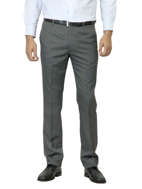

Arrow Men Grey Striped Trousers
