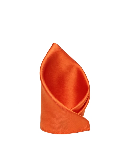 

Alvaro Castagnino Men Orange Pocket Square