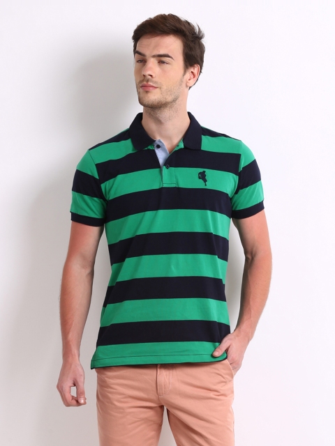 

Arrow Sport Men Green & Navy Striped Polo T-shirt
