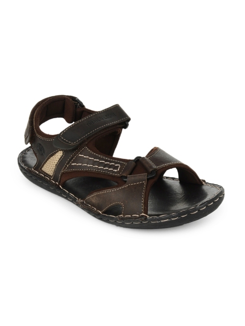 

Franco Leone Men Brown Sandals