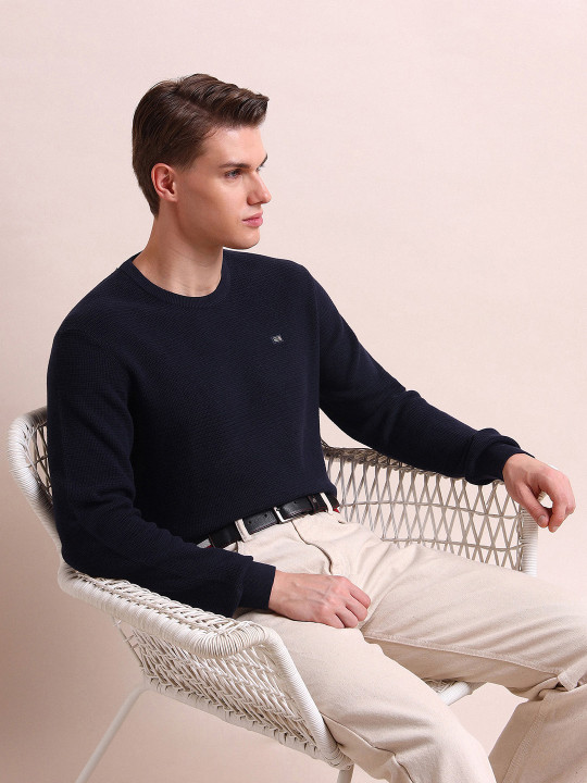 Arrow Sport Men Blue Pullover Sweater
