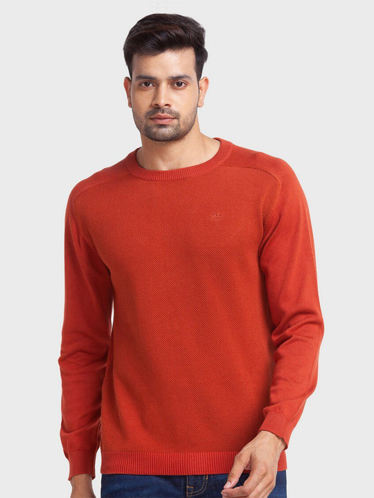 ColorPlus Men Ribbed Long Sleeves Cotton Pullover