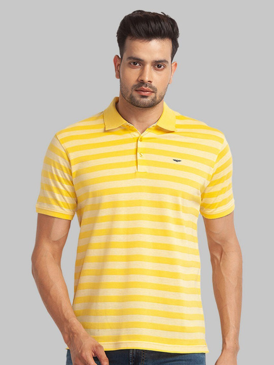 Park Avenue Men Striped Polo Collar Organic Cotton T-shirt