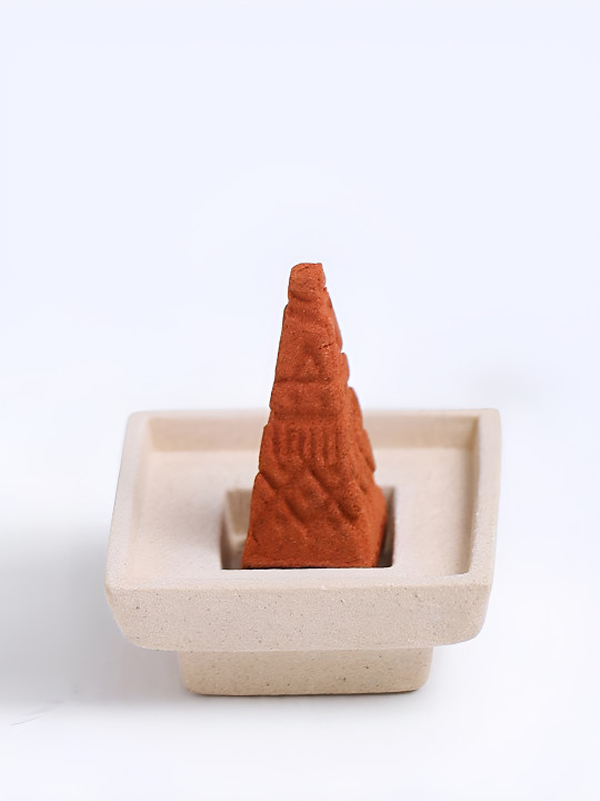 Fabindia Brown 16 Pieces Niryasaha Fragrance Incense Cone