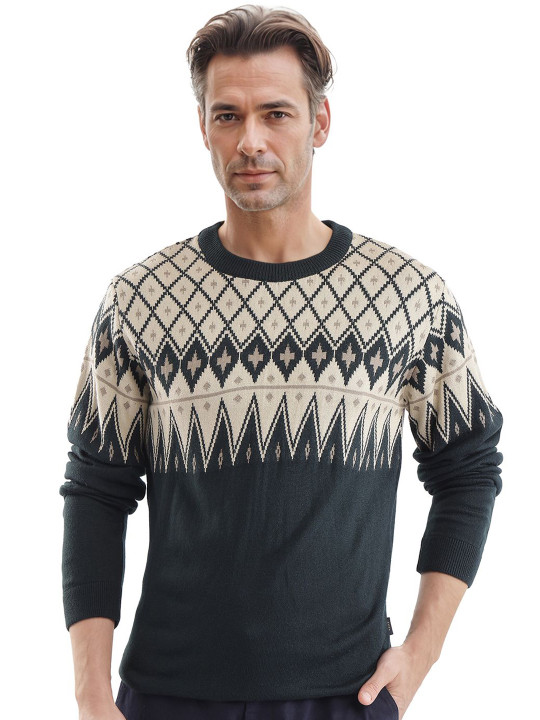 RARE RABBIT Men Argyle Print Crew Neck Full Sleeve Regular Fit Sweater