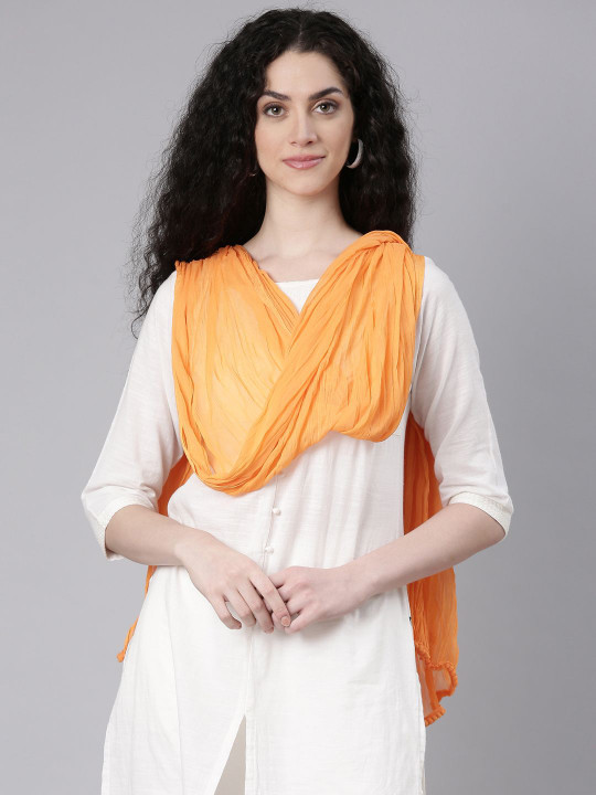 Souchii Chiffon Tasselled Dupatta