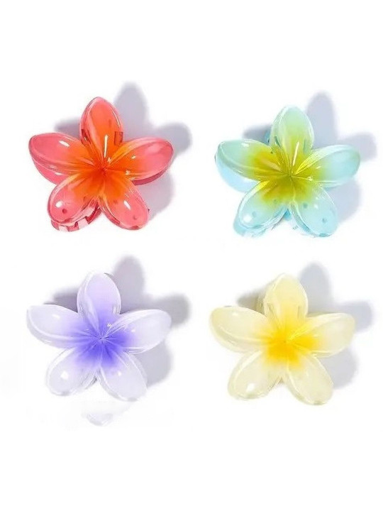 SZN Women Set of 4 Claw Clip